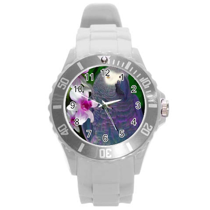 African Grey Parrot Plastic Sport Watch (Large)