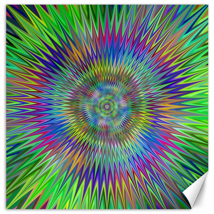 Hypnotic Star Burst Fractal Canvas 16  x 16  (Unframed)