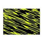 Camouflage Sticker A4 (100 pack) Front