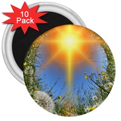 Dandelions 3  Button Magnet (10 Pack) by boho