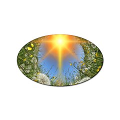 Dandelions Sticker 100 Pack (oval)