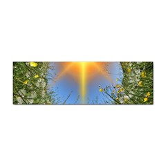 Dandelions Bumper Sticker 10 Pack