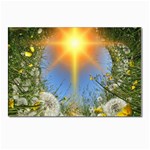 Dandelions Postcard 4 x 6  (10 Pack) Front