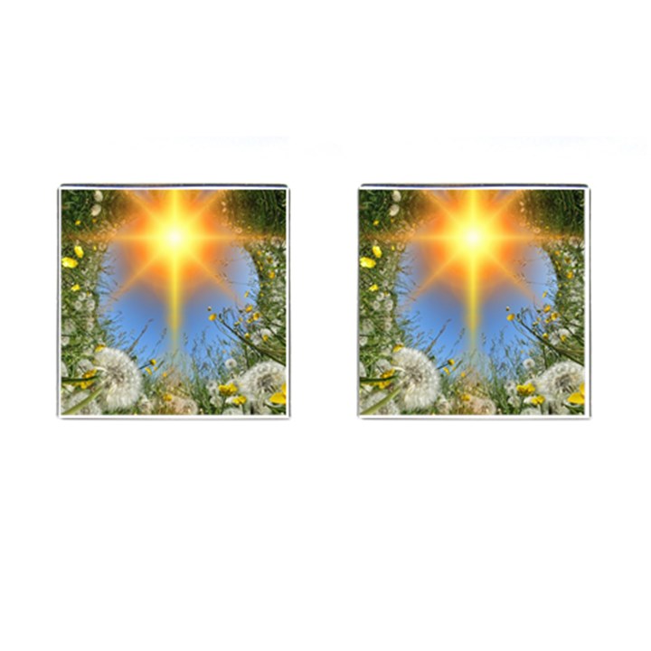 Dandelions Cufflinks (Square)