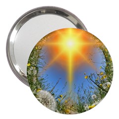 Dandelions 3  Handbag Mirror