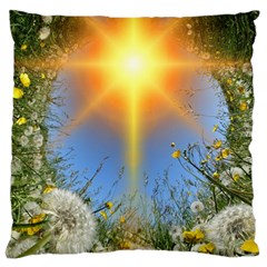 Dandelions Large Flano Cushion Case (two Sides)