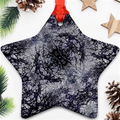 Nature Collage Print  Star Ornament by dflcprints