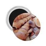 Seashells 3000 4000 2.25  Button Magnet Front