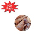 Seashells 3000 4000 1  Mini Button Magnet (100 pack) Front