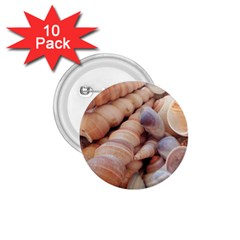 Seashells 3000 4000 1 75  Button (10 Pack)