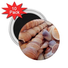 Seashells 3000 4000 2 25  Button Magnet (10 Pack)