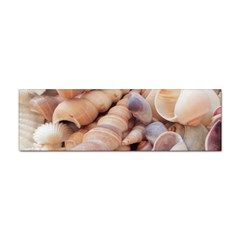 Seashells 3000 4000 Bumper Sticker 100 Pack