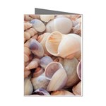 Seashells 3000 4000 Mini Greeting Card (8 Pack) Left