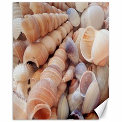 Seashells 3000 4000 Canvas 16  X 20  (unframed)