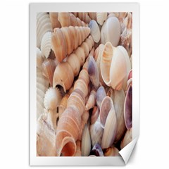 Seashells 3000 4000 Canvas 24  X 36  (unframed)