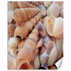 Seashells 3000 4000 Canvas 11  X 14  (unframed)