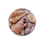 Sea Shells Drink Coasters 4 Pack (Round) Front