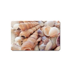 Sea Shells Magnet (name Card)