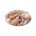 Sea Shells Sticker 100 Pack (Oval) Front