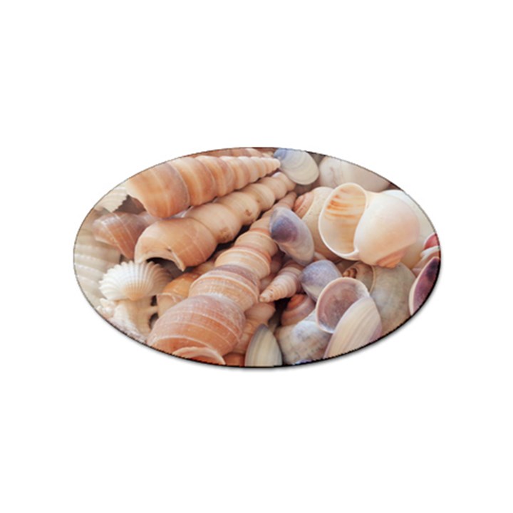 Sea Shells Sticker 100 Pack (Oval)