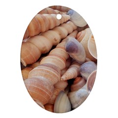 Sea Shells Oval Ornament (two Sides)