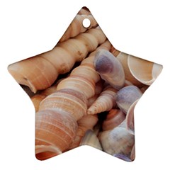 Sea Shells Star Ornament (two Sides)