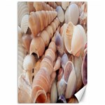 Sea Shells Canvas 12  x 18  (Unframed) 11.88 x17.36  Canvas - 1