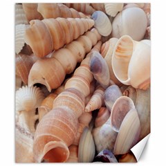 Sea Shells Canvas 20  X 24  (unframed)