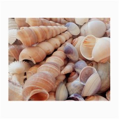 Sea Shells Glasses Cloth (small, Two Sided)