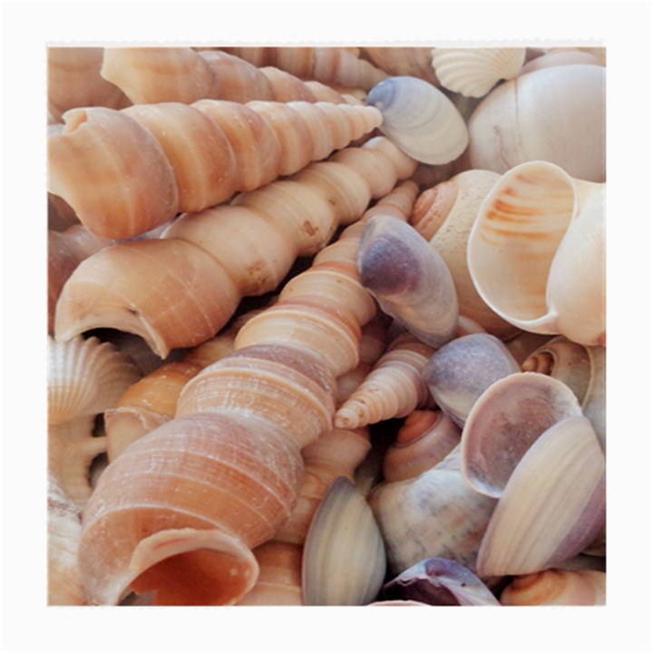 Sea Shells Glasses Cloth (Medium)