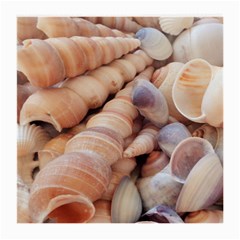 Sea Shells Glasses Cloth (medium, Two Sided)