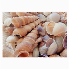 Sea Shells Glasses Cloth (large)