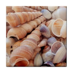 Sea Shells Face Towel