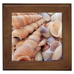 Sea Shells Framed Ceramic Tile