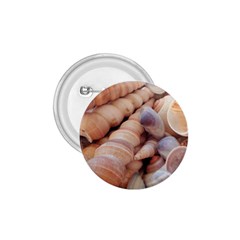 Sea Shells 1 75  Button