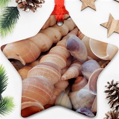 Sea Shells Star Ornament