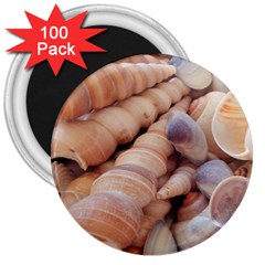 Sea Shells 3  Button Magnet (100 Pack) by yoursparklingshop