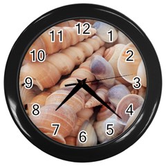 Sea Shells Wall Clock (black)