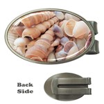 Sea Shells Money Clip (Oval) Front