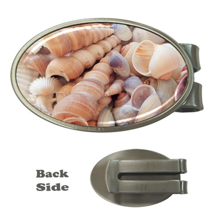 Sea Shells Money Clip (Oval)