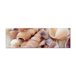 Sea Shells Bumper Sticker Front