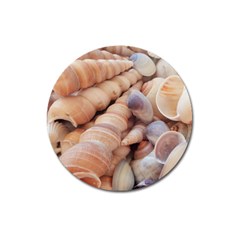 Sea Shells Magnet 3  (round) by yoursparklingshop