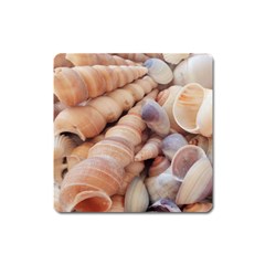 Sea Shells Magnet (square) by yoursparklingshop