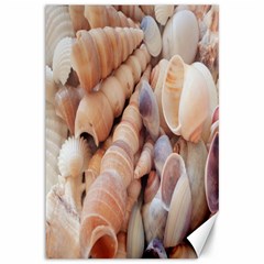 Sea Shells Canvas 12  X 18  (unframed) by yoursparklingshop