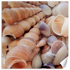 Sea Shells Canvas 20  X 20  (unframed) by yoursparklingshop