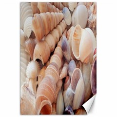 Sea Shells Canvas 20  X 30  (unframed) by yoursparklingshop