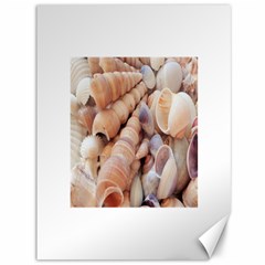 Sea Shells Canvas 36  X 48  (unframed)