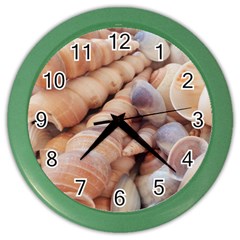 Sea Shells Wall Clock (color)