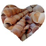 Sea Shells Large 19  Premium Heart Shape Cushion Back