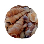 Sea Shells Standard 15  Premium Flano Round Cushion  Front